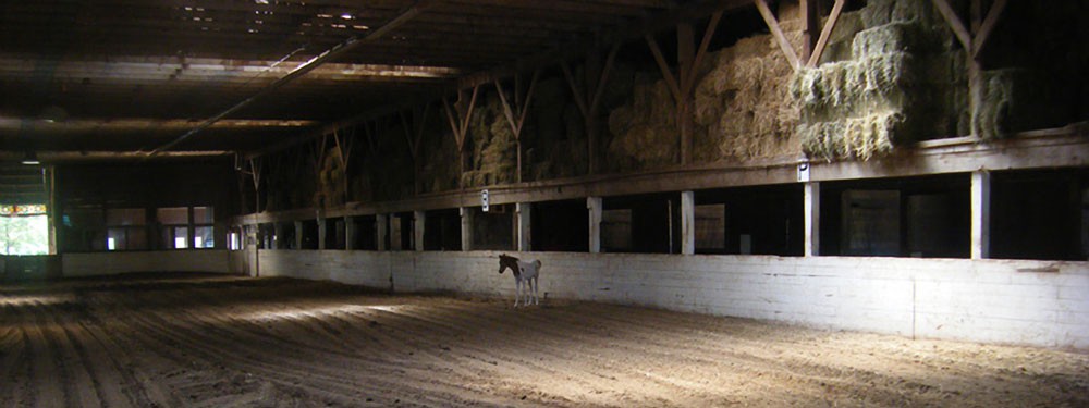 banner-barn